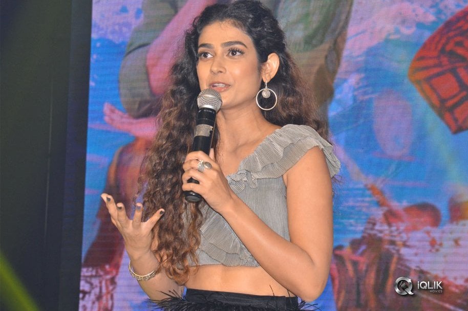 Devadas-Movie-Audio-Launch-Photos